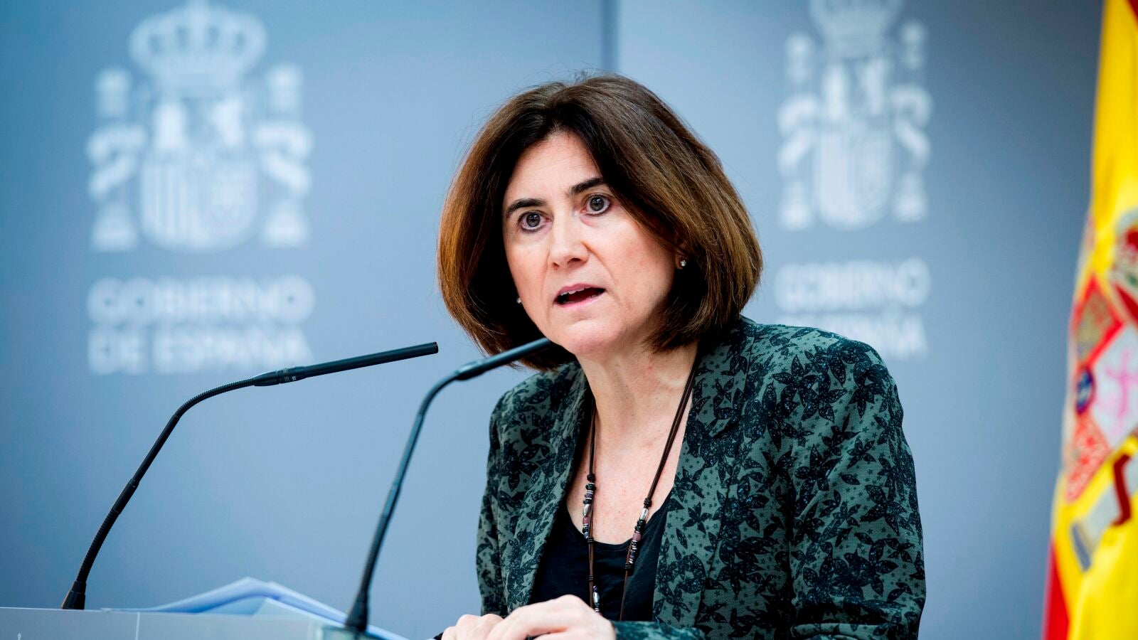 Rueda de prensa de María José Sierra sobre la pandemia de coronavirus, streaming en directo