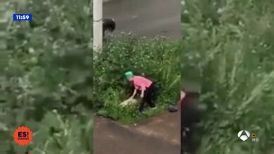 Apalea a una pareja que practicaba sexo en unos matorrales de un parque