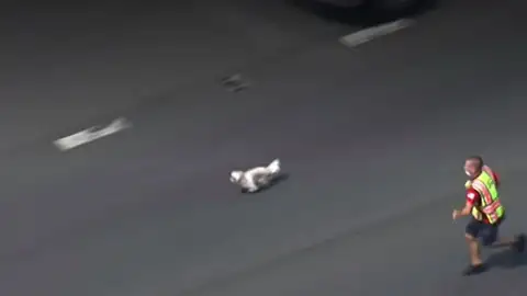 Persiguen a un perro por una carretera de Maryland (EEUU) para capturarlo y ponerlo a salvo Persiguen a un perro por una carretera de Maryland (EEUU) para capturarlo y ponerlo a salvo