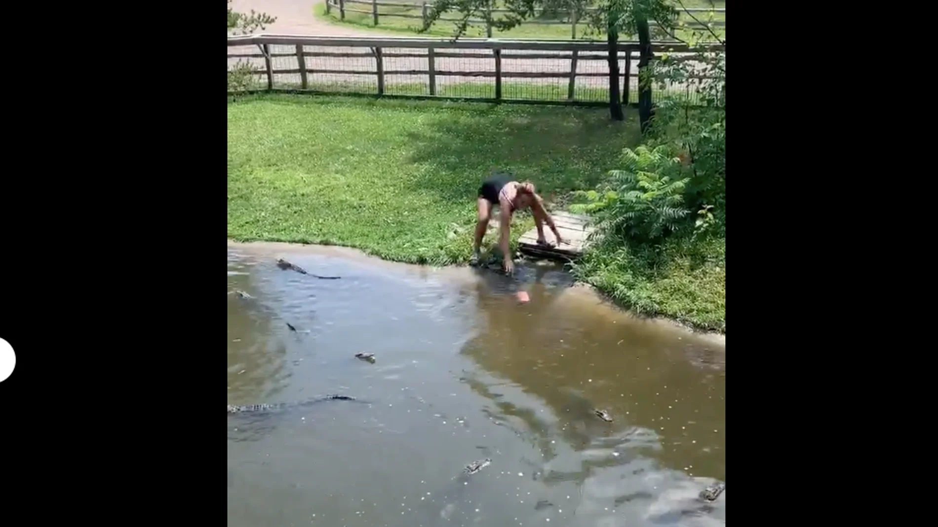 La mujer recuperando la cartera La mujer recuperando la cartera