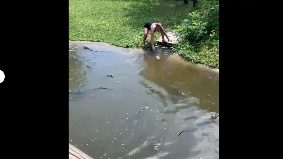 La mujer recuperando la cartera La mujer recuperando la cartera