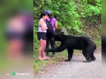 Un oso se acerca peligrosamente a una mujer en México pero, en vez de huir, se saca un 'selfie' con el animal