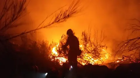Continúa descontrolado el incendio de grandes dimensiones que afecta a Navarra, Guipúzcoa y Francia Continúa descontrolado el incendio de grandes dimensiones que afecta a Navarra, Guipúzcoa y Francia