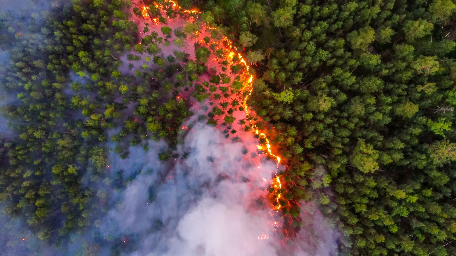 Siberia registra varios incendios debido a una ola de calor desde enero