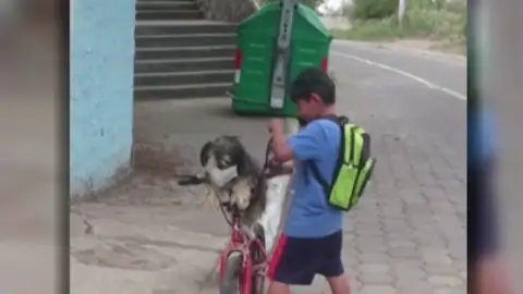 Se vuelven virales las imágenes de un niño poniéndole la mascarilla a su perro en Ecuador Se vuelven virales las imágenes de un niño poniéndole la mascarilla a su perro en Ecuador
