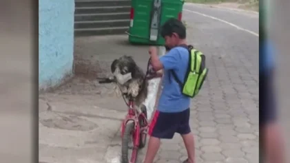 Se vuelven virales las imágenes de un niño poniéndole la mascarilla a su perro en Ecuador Se vuelven virales las imágenes de un niño poniéndole la mascarilla a su perro en Ecuador