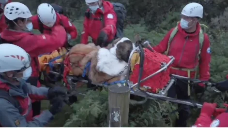 Rescatan a un perro de la monta&ntilde;a m&aacute;s alta de Inglaterra