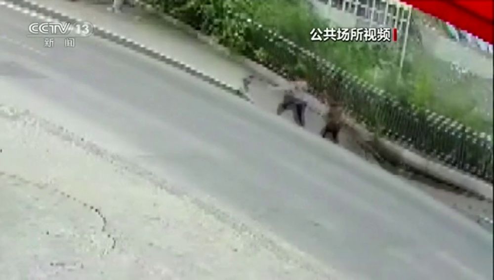 Dos peatones caen al vacío tras derrumbarse la acera por la que paseaban en China