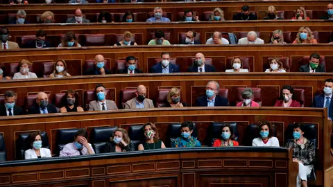 La bancada socialista asiste al pleno del Congreso La bancada socialista asiste al pleno del Congreso