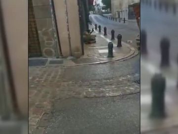 La Policía reduce a tiros a un hombre que quitó el arma a un agente junto a la Catedral de Granada