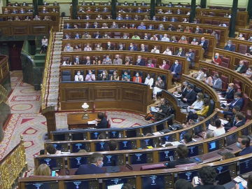 La bancada socialista asiste al completo al pleno del Congreso