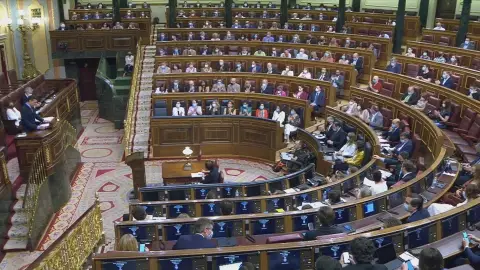 La bancada socialista asiste al completo al pleno del Congreso La bancada socialista asiste al completo al pleno del Congreso