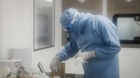 Un estudio asegura que un resfriado común podría provocar células inmunes contra el coronavirus Un estudio asegura que un resfriado común podría provocar células inmunes contra el coronavirus