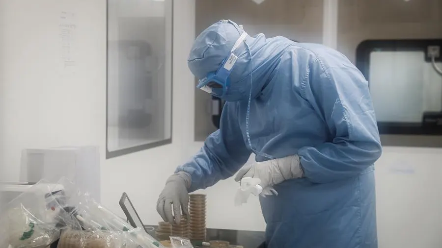 Un estudio asegura que un resfriado com&uacute;n podr&iacute;a provocar c&eacute;lulas inmunes contra el coronavirus