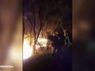 REEMPLAZO GALICIA REEMPLAZO GALICIA