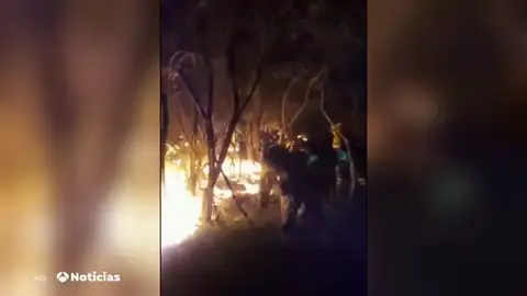 REEMPLAZO GALICIA REEMPLAZO GALICIA