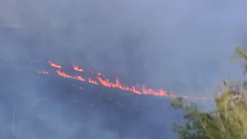 Más de mil hectáreas arrasadas en el incencio de Ourense Más de mil hectáreas arrasadas en el incencio de Ourense