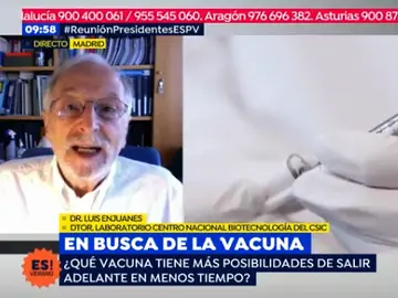 Luis Enjuanes: "Posiblemente el próximo invierno tendremos dos o tres vacunas" Luis Enjuanes: "Posiblemente el próximo invierno tendremos dos o tres vacunas"