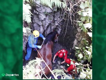 El rescate al límite en helicóptero de un caballo que cayó a un agujero en Asturias: "Pasó dos días en el pozo"