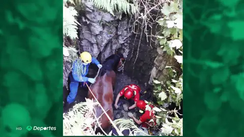 El rescate al límite en helicóptero de un caballo que cayó a un agujero en Asturias: "Pasó dos días en el pozo" El rescate al límite en helicóptero de un caballo que cayó a un agujero en Asturias: "Pasó dos días en el pozo"