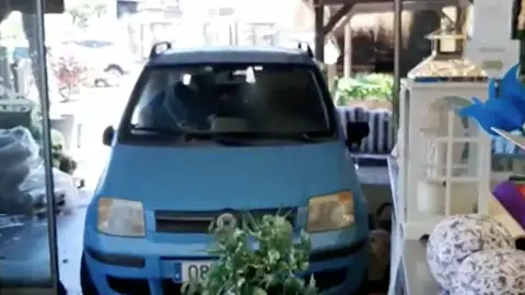 Mujer en vivero de Mijas Mujer en vivero de Mijas