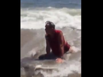 La asociación Equinac denuncia al hombre que mató a un pez luna en la playa de Roquetas de mar, en Almería