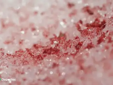 nieve rosa nieve rosa