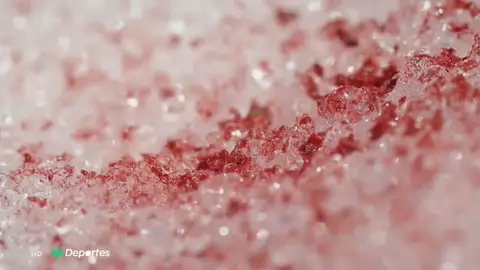 nieve rosa nieve rosa