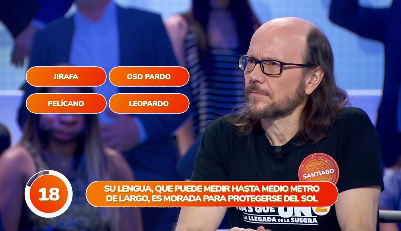 El equipo naranja se rodea de unos peculiares compañeros en ‘Una de Cuatro’: Un mono, un hipopótamo o un pelícano El equipo naranja se rodea de unos peculiares compañeros en ‘Una de Cuatro’: Un mono, un hipopótamo o un pelícano