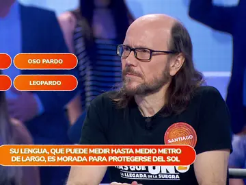 El equipo naranja se rodea de unos peculiares compañeros en ‘Una de Cuatro’: Un mono, un hipopótamo o un pelícano El equipo naranja se rodea de unos peculiares compañeros en ‘Una de Cuatro’: Un mono, un hipopótamo o un pelícano