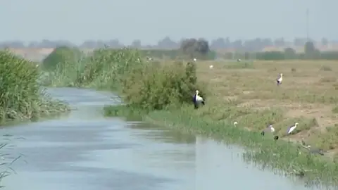 Río Guadalquivir Río Guadalquivir