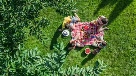Picnic Picnic