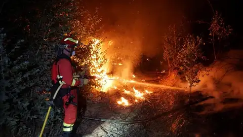 Un dispositivo de más de 200 efectivos lucha por apagar las llamas en Almonaste la Real Un dispositivo compuesto por más de 200 efectivos del Plan Infoca y de la Unidad Militar de Emergencias (UME) trabaja en las labores de extinción del incendio forestal declarado este jueves a mediodía en el término municipal de Almonaster la Real (Huelva) y que aún permanece activo.