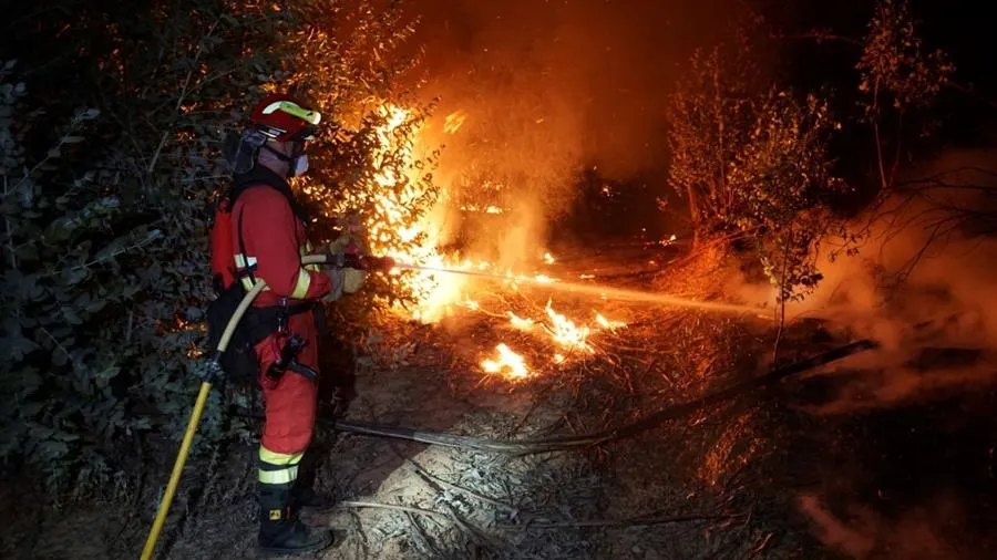 Un dispositivo de más de 200 efectivos lucha por apagar las llamas en Almonaste la Real Un dispositivo compuesto por más de 200 efectivos del Plan Infoca y de la Unidad Militar de Emergencias (UME) trabaja en las labores de extinción del incendio forestal declarado este jueves a mediodía en el término municipal de Almonaster la Real (Huelva) y que aún permanece activo.