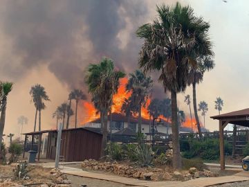 Vista del incendio forestal de este sábado en Estepona (Málaga)