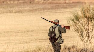 Un cazador en un coto 
