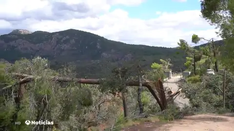 NUEVA DESTROZOS NUEVA DESTROZOS