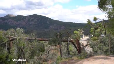 El día después del huracán de Mallorca, árboles arrancados, carreteras cortadas y edificios dañados