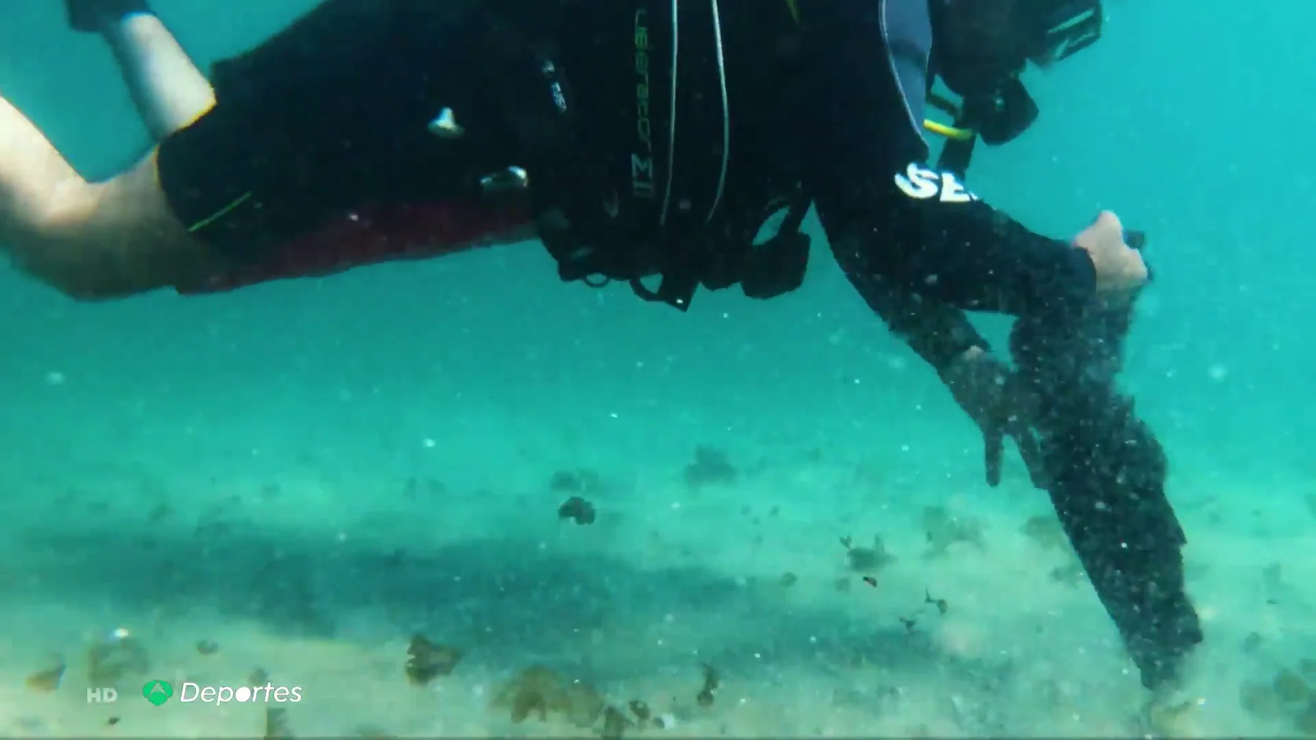 Saeed Darawashi, el buceador parapléjico ayuda a limpiar el mar en Israel: "¿Cómo puedo quedarme inmóvil ante esto?" Saeed Darawashi, el buceador parapléjico ayuda a limpiar el mar en Israel: "¿Cómo puedo quedarme inmóvil ante esto?"