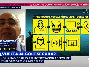 El portavoz del grupo 'Marea Verde', sobre los profesores vulnerables ante el coronavirus: "Nos encontramos con un auténtico vacío legislativo" El portavoz del grupo 'Marea Verde', sobre los profesores vulnerables ante el coronavirus: "Nos encontramos con un auténtico vacío legislativo"