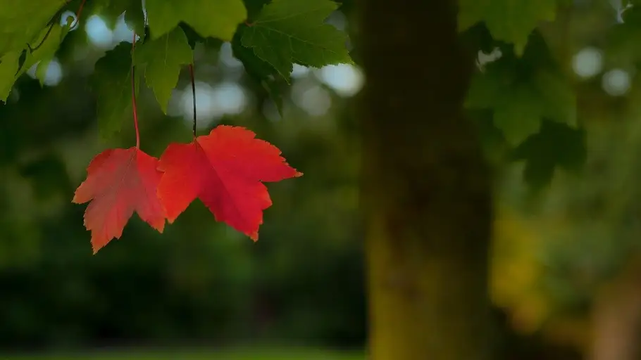 ¡Bienvenido Septiembre 2020! Las mejores frases para dar la bienvenida a septiembre ¡Bienvenido Septiembre 2020! Las mejores frases para dar la bienvenida a septiembre