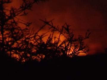 ¿Cómo pueden colaborar los ciudadanos en la labor de extinción de un incendio?