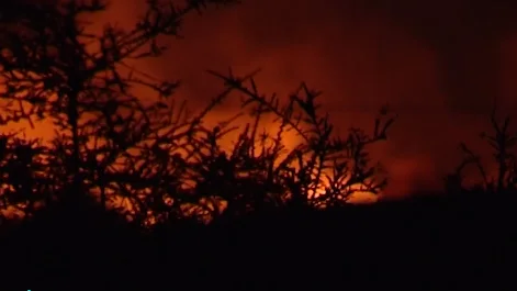 &iquest;C&oacute;mo pueden colaborar los ciudadanos en la labor de extinci&oacute;n de un incendio?