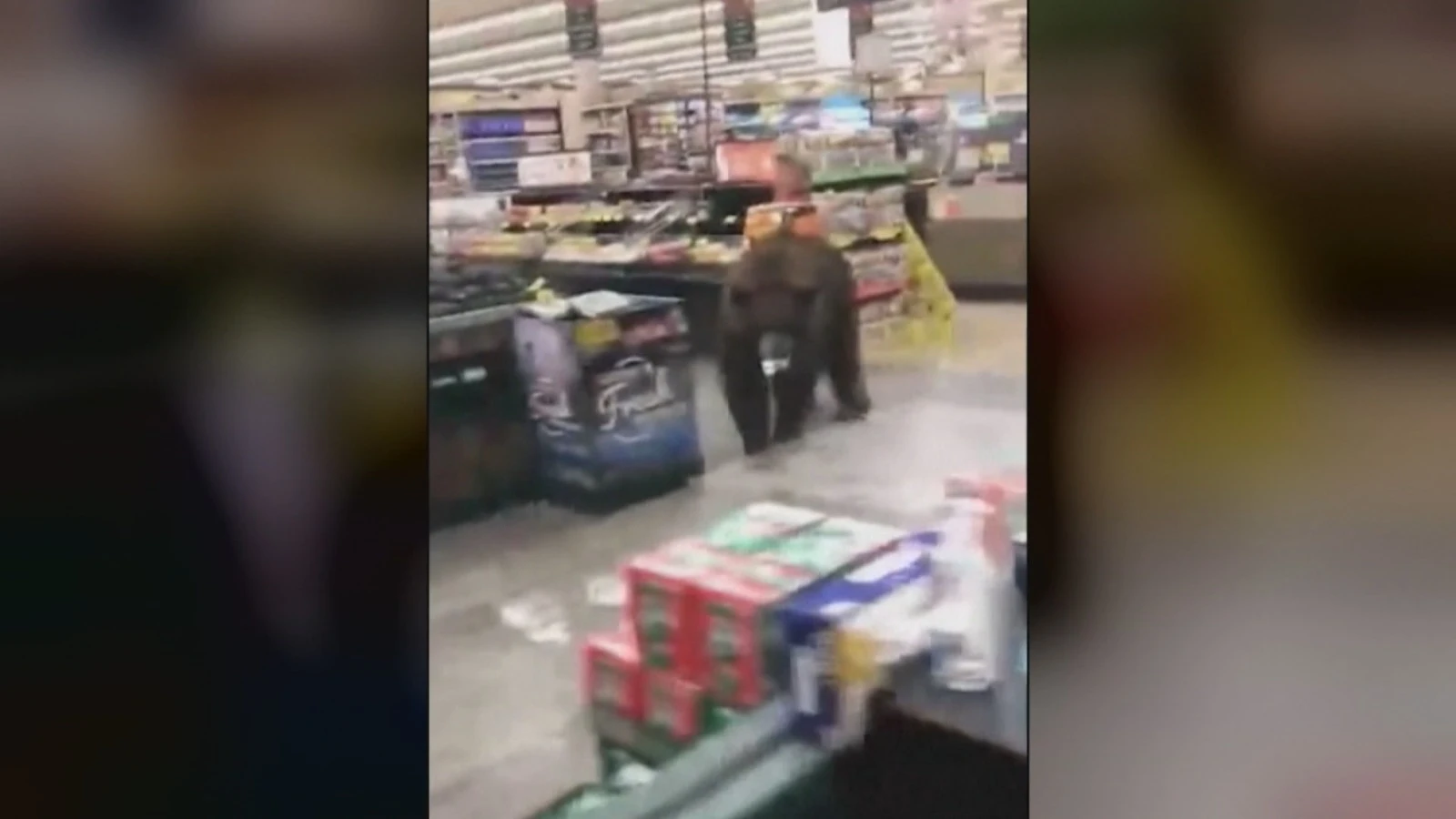 Oso en un supermercado Oso en un supermercado