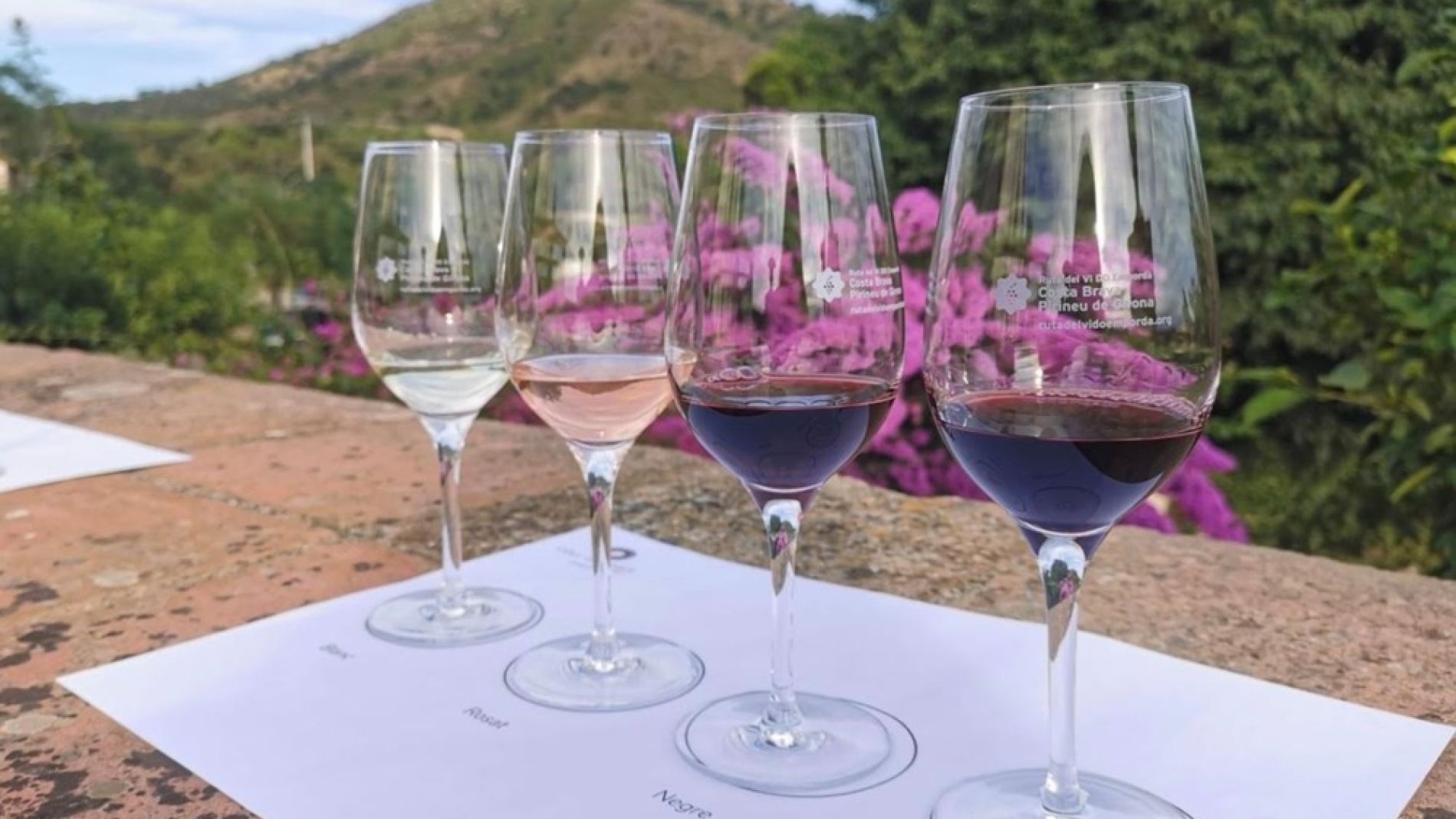 Cata de vinos