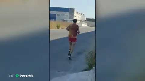 galgo galgo