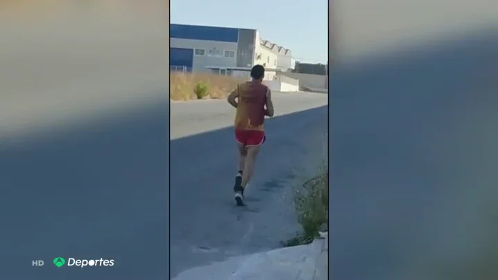 galgo galgo