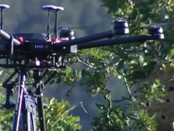 Dron con balas de hielo contra las avispas velutinas