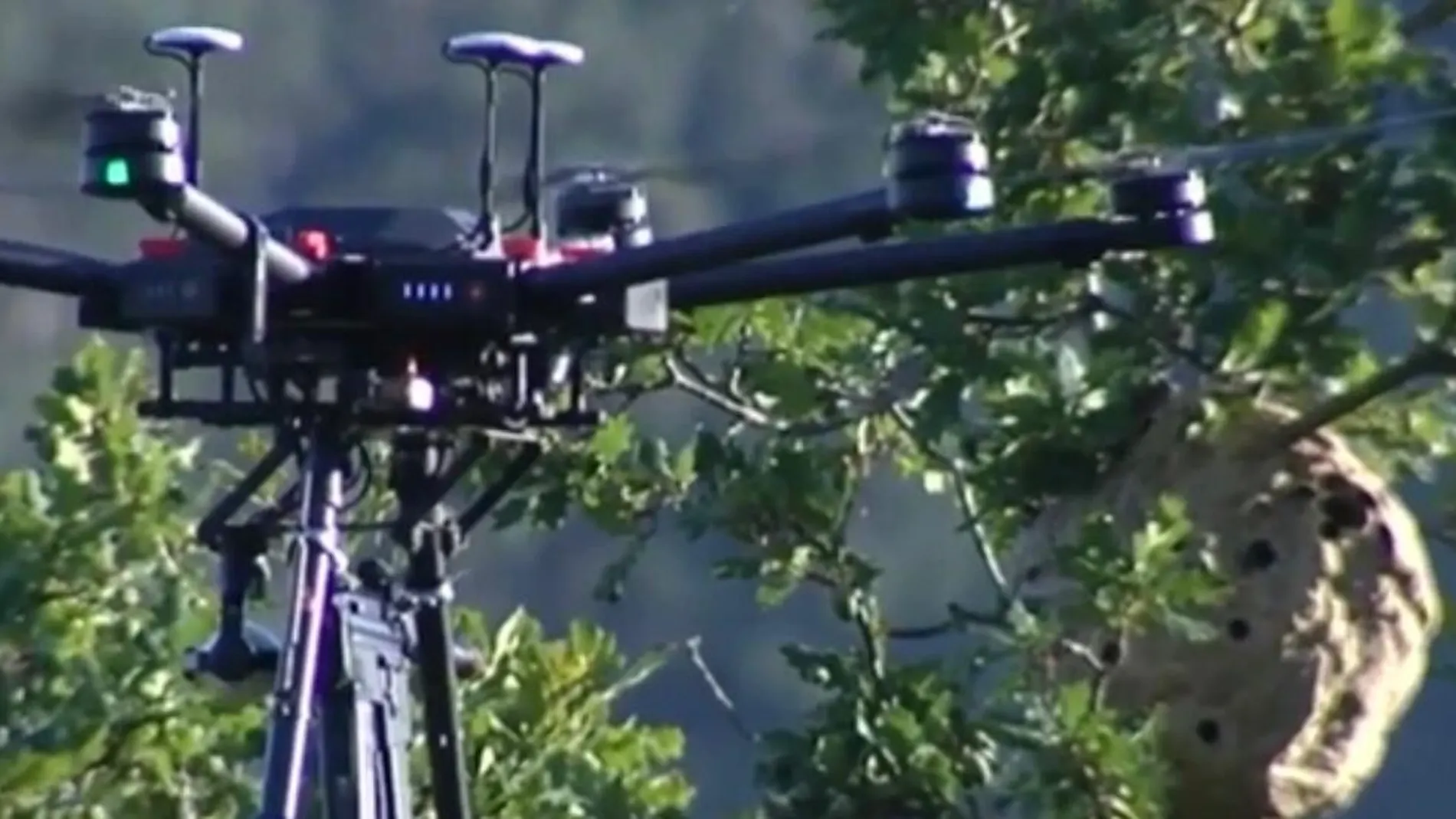 Dron con balas de hielo contra las avispas velutinas Dron con balas de hielo contra las avispas velutinas