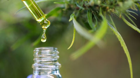 Aceite de cannabis
